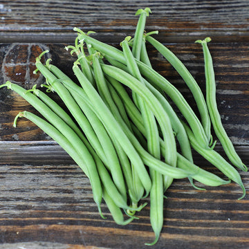 Bean Savannah Seed