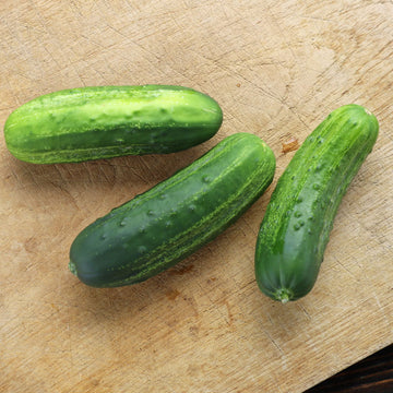 Cucumber Eureka F1 Seed