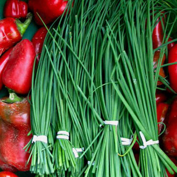 Chives Green Seed