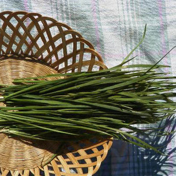 Chives Garlic Seed