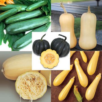 Squash Seed Collection - All Season Seed