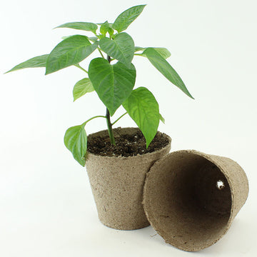 Jiffy 4" Round Pots