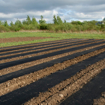 Black Plastic Mulch 3' x 2000'