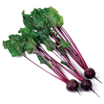 Beet Eagle F1 Seed