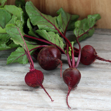 Beet Detroit Dark Red Seed