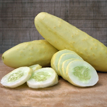 Cucumber Silver Slicer Seed