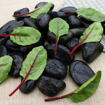 Beet Greens Fresh Pak Seed