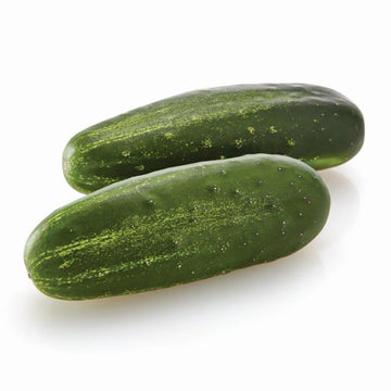 Cucumber Citadel F1 Seed