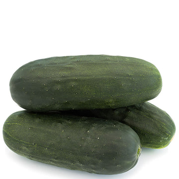 Cucumber Espirit F1 Seed