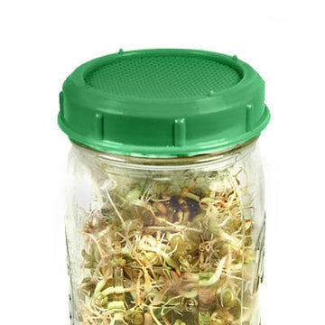 Mason Jar Sprouting Lid